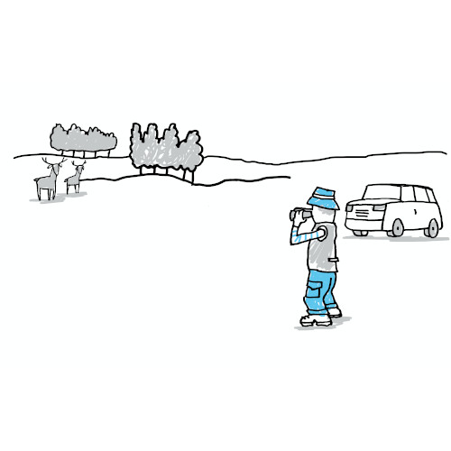 Rentmeester worden